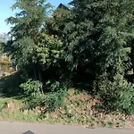 Neu! Bottelterberg *