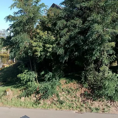 Neu! Bottelterberg *