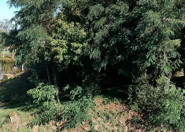 Neu! Bottelterberg *